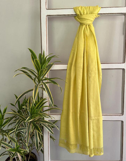 DWARKADHISH PASHMINA SHAWL